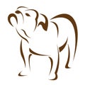 Vector image of an dog (bulldog) Royalty Free Stock Photo