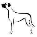 Vector image of an dog (great dane)