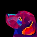 Vector image of an dog labrador on black background