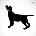 Vector image of an dog labrador Royalty Free Stock Photo