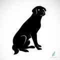 Vector image of an dog labrador Royalty Free Stock Photo