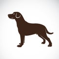 Vector image of an dog labrador