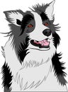 Vector image of an dog Royalty Free Stock Photo