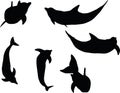 Vector Image - dolphin silhouette on white background