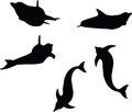 Vector Image - dolphin silhouette on white background