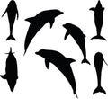 Vector Image - dolphin silhouette on white background