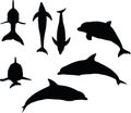 Vector Image - dolphin silhouette on white background Royalty Free Stock Photo