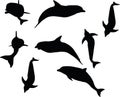 Vector Image - dolphin silhouette on white background