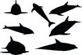 Vector Image - dolphin silhouette on white background