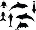 Vector Image - dolphin silhouette on white background