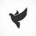 Vector image dove icon.