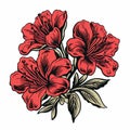 Classic Tattoo Style Red Flowers Illustration Royalty Free Stock Photo