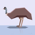 Flat design Emu