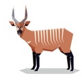 Flat geometric Bongo antelope