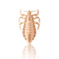 Flat geometric Louse