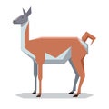 Flat polygonal Guanaco