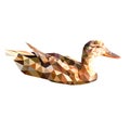 Vector image floating duck. polygonal bird Poly