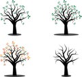 2048Vector image of four season tree witn flowers and leafs in different seasons Royalty Free Stock Photo