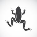 Vector image of a frog design