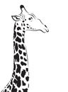 Vector image of an giraffe head