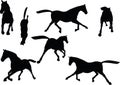 Vector Image - horse silhouette in fast trot pose on white background