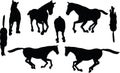 Vector Image - horse silhouette in gallop pose on white background