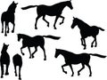 Vector Image - horse silhouette in loping pose on white background Royalty Free Stock Photo