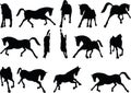 Vector Image - horse silhouette in running pose on white background Royalty Free Stock Photo