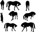 Vector Image - horse silhouette in standing around pose on white background