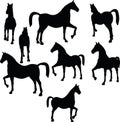 Vector Image - horse silhouette on white background