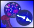 Human head, brain, neurons and synapse