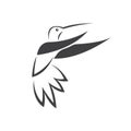 Vector image hummingbird design on white background. icon symbol. Illustrator. Black and White