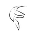 Vector image hummingbird design on white background. icon symbol. Illustrator. Black and White