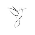 Vector image hummingbird design on white background. icon symbol. Illustrator. Black and White