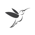 Vector image hummingbird design on white background. icon symbol. Illustrator. Black and White Royalty Free Stock Photo