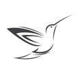 Vector image hummingbird design on white background. icon symbol. Illustrator. Black and White Royalty Free Stock Photo