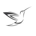 Vector image hummingbird design on white background. icon symbol. Illustrator. Black and White