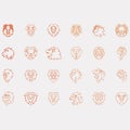 collection of lion logos