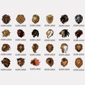 collection of lion logos