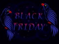 Two blue parrots with the inscription Black Friday. Royalty Free Stock Photo