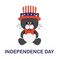 4 july cartoon cute black cat in hat sitting with text Royalty Free Stock Photo