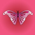 Vector image of a large symmetrical butterfly. Wings of the insect are light pink with a beautiful crimson pattern.