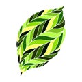 Vector image of a leaf in shades of green.