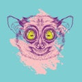 Vector image of lemur lory. painted in pink on a turquoise background. Surrealism. T-shirt design.