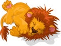 Vector image of a majestically sleeping lion