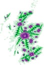 Vector image map of Scotland with thistle flowers