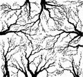 Vector image of mighty tree with bare branches Royalty Free Stock Photo