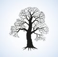 Vector image of mighty tree with bare branches Royalty Free Stock Photo