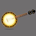 Vector image of a musical instrument banjo.