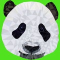 Vector image muzzle panda